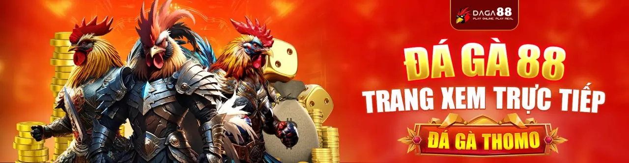Hình ảnh chính sách quyền riêng tư của Bet11 Casino