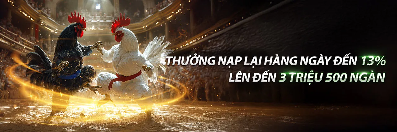 Tải Ứng Dụng Bet11 Casino Chính Thức
